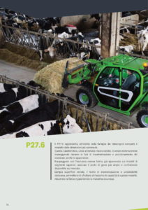 MERLO-30.9-noleggio-edilizia-edilmaco-12